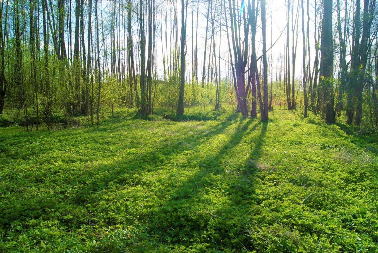 Losiowate Gospodarstwo Agroturystyczne Rybaki (Monki) Exterior foto