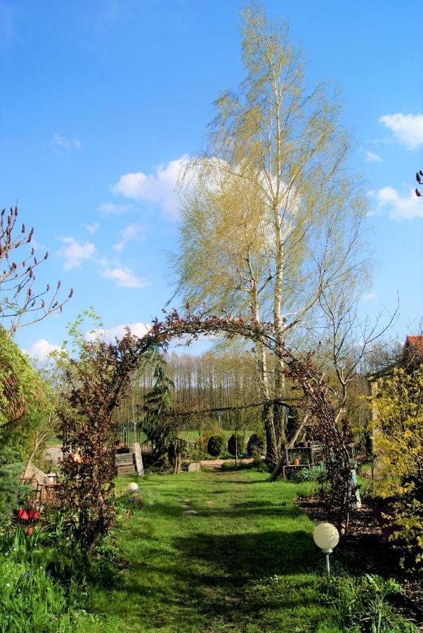 Losiowate Gospodarstwo Agroturystyczne Rybaki (Monki) Exterior foto