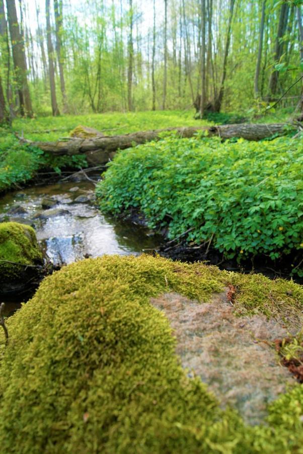 Losiowate Gospodarstwo Agroturystyczne Rybaki (Monki) Exterior foto