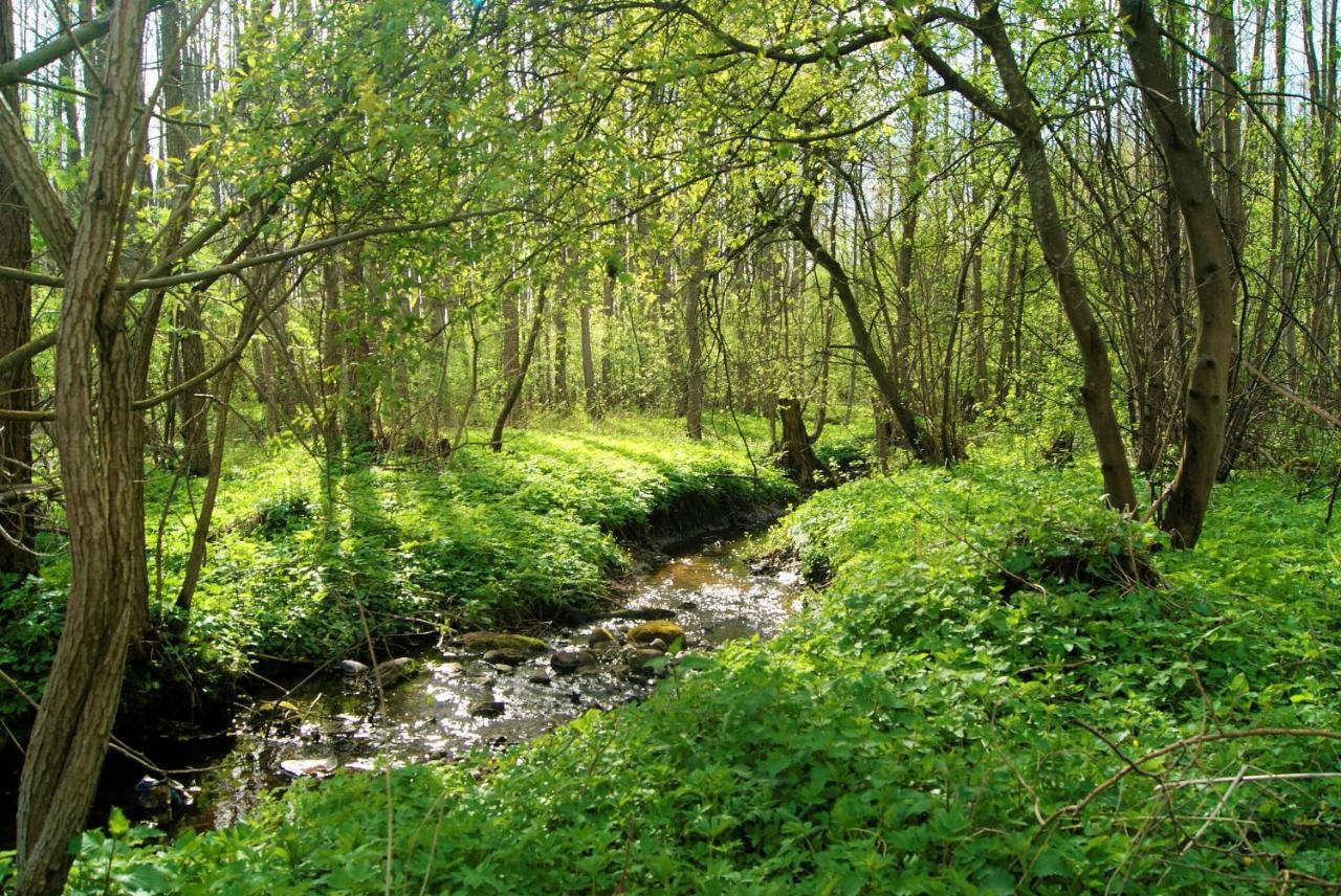 Losiowate Gospodarstwo Agroturystyczne Rybaki (Monki) Exterior foto