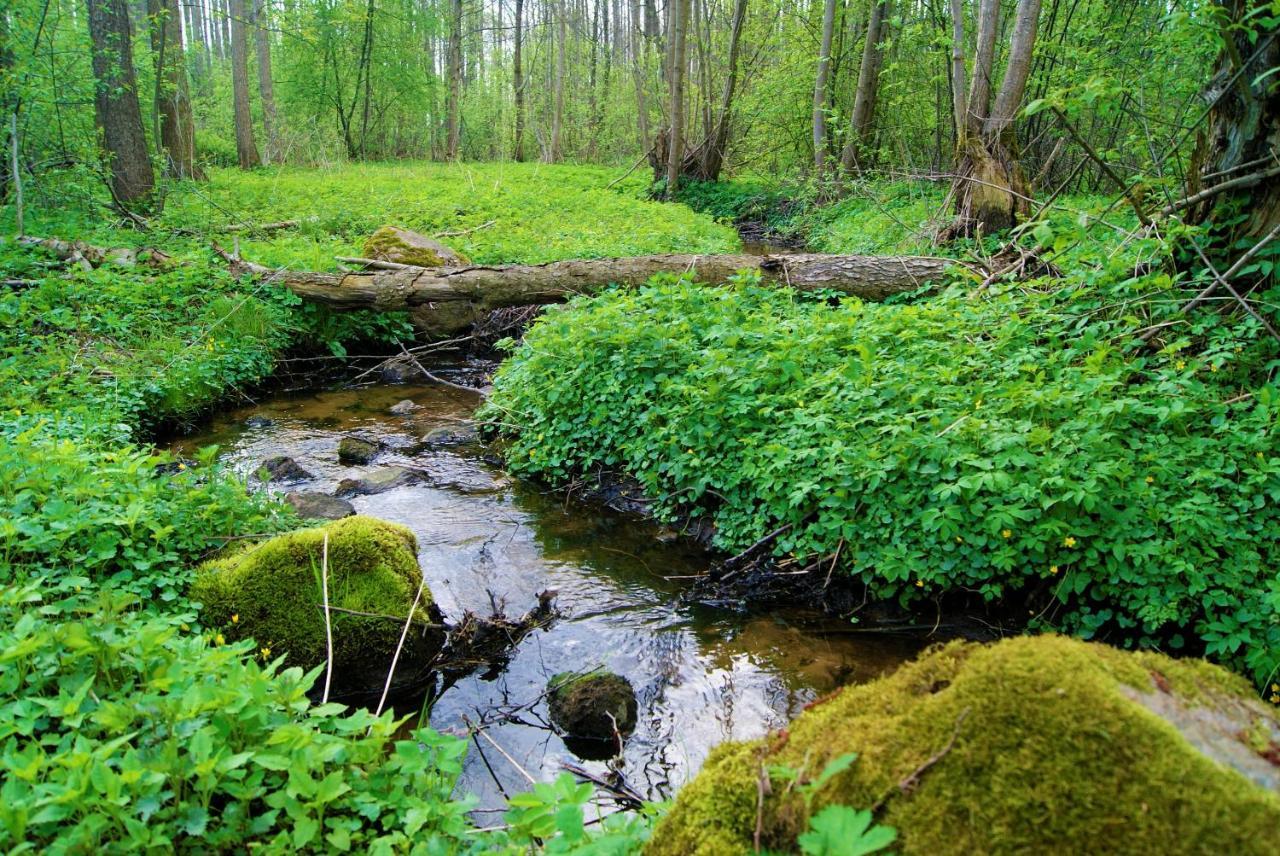 Losiowate Gospodarstwo Agroturystyczne Rybaki (Monki) Exterior foto
