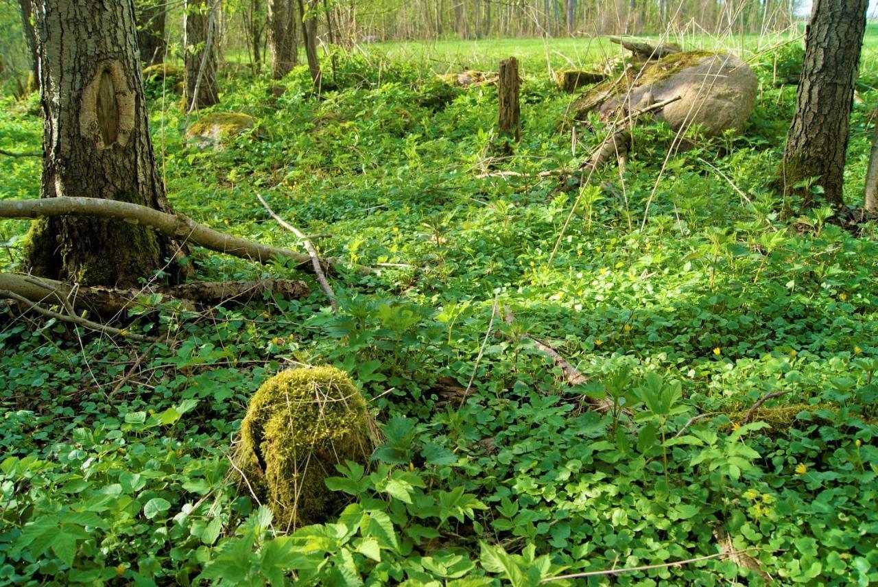Losiowate Gospodarstwo Agroturystyczne Rybaki (Monki) Exterior foto