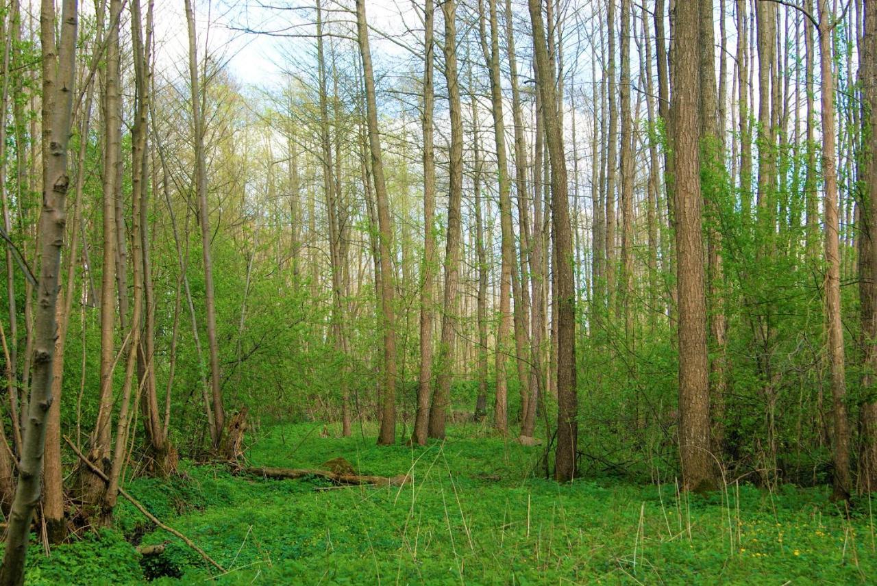 Losiowate Gospodarstwo Agroturystyczne Rybaki (Monki) Exterior foto